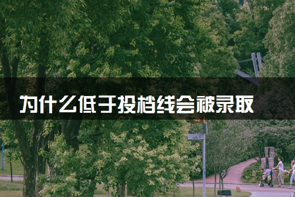 为什么低于投档线会被录取 原因有哪些