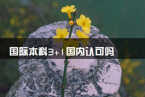 国际本科3+1国内认可吗 有哪些好学校