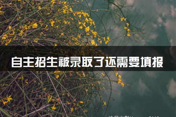 自主招生被录取了还需要填报志愿吗 是什么