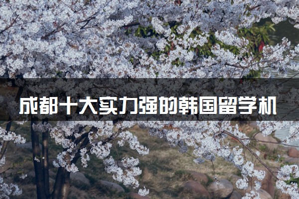 成都十大实力强的韩国留学机构名单榜首一览