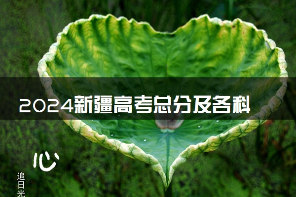 2024新疆高考总分及各科分数 满分是多少