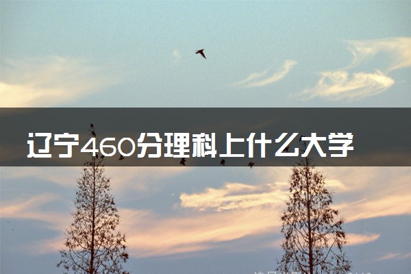 辽宁460分理科上什么大学 推荐什么专业