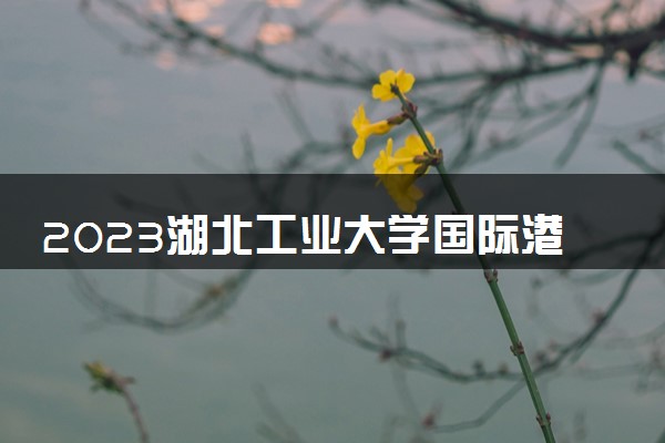 2023湖北工业大学国际港澳班录取分数线