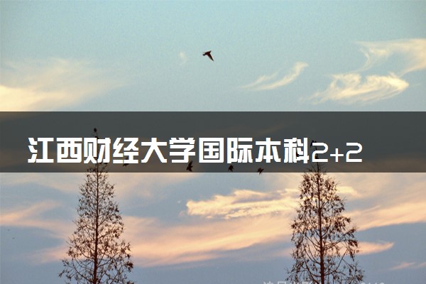 江西财经大学国际本科2+2受教育部认可吗？