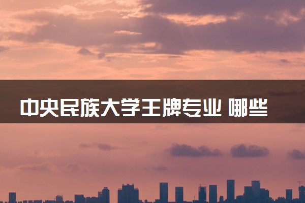 中央民族大学王牌专业 哪些专业好就业