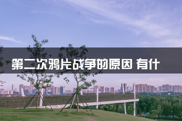 第二次鸦片战争的原因 有什么影响