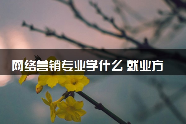 网络营销专业学什么 就业方向有哪些
