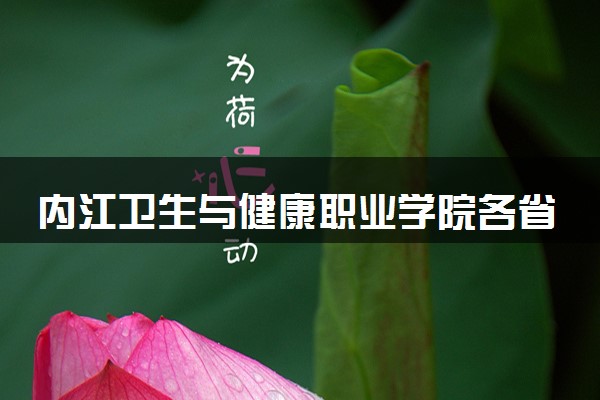 内江卫生与健康职业学院各省录取分数线及位次 投档最低分是多少(2024年高考参考)