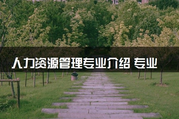 人力资源管理专业介绍 专业前景怎么样