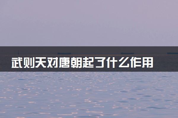 武则天对唐朝起了什么作用 主要贡献是什么