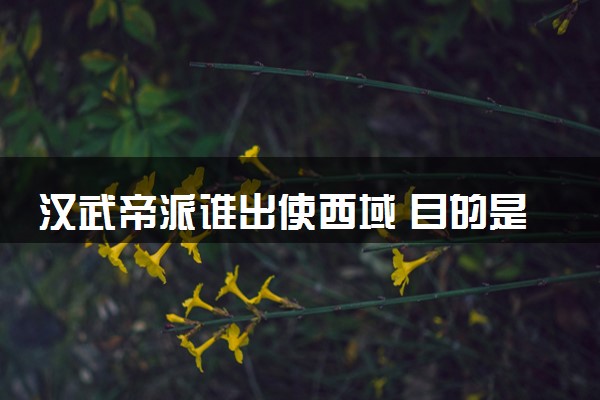 汉武帝派谁出使西域 目的是什么