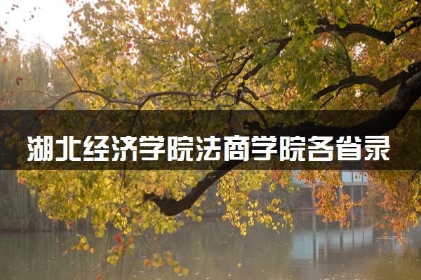 湖北经济学院法商学院各省录取分数线及位次 投档最低分是多少(2024年高考参考)