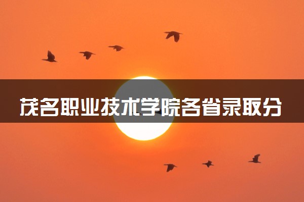 茂名职业技术学院各省录取分数线及位次 投档最低分是多少(2024年高考参考)