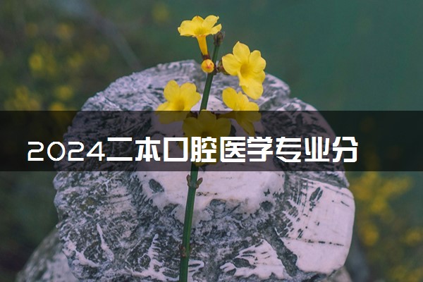2024二本口腔医学专业分数低的大学 哪些院校好考