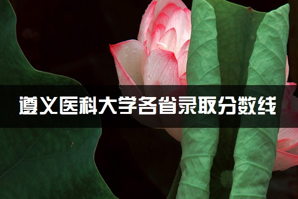 遵义医科大学各省录取分数线及位次 投档最低分是多少(2024年高考参考)
