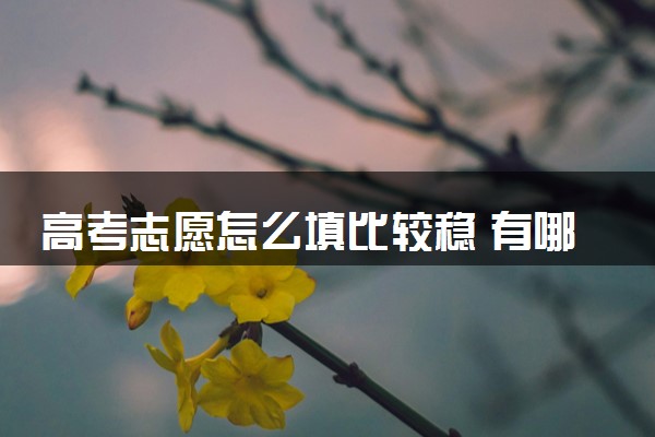 高考志愿怎么填比较稳 有哪些填报小技巧