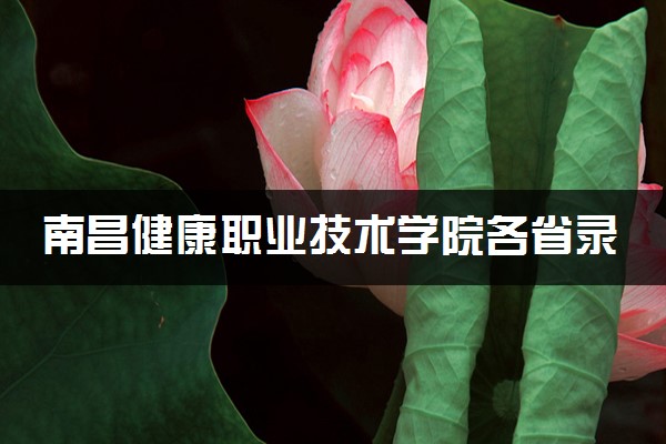 南昌健康职业技术学院各省录取分数线及位次 投档最低分是多少(2024年高考参考)
