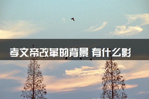 孝文帝改革的背景 有什么影响