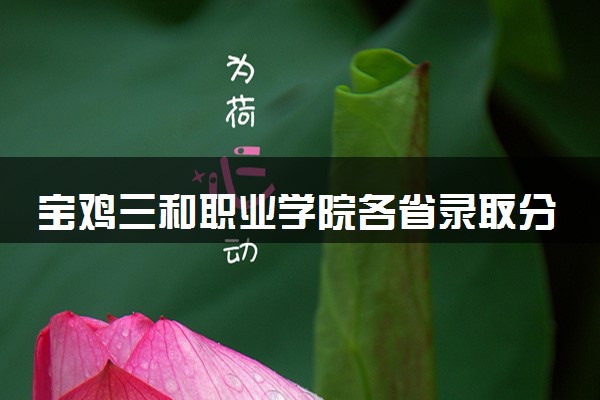 宝鸡三和职业学院各省录取分数线及位次 投档最低分是多少(2024年高考参考)
