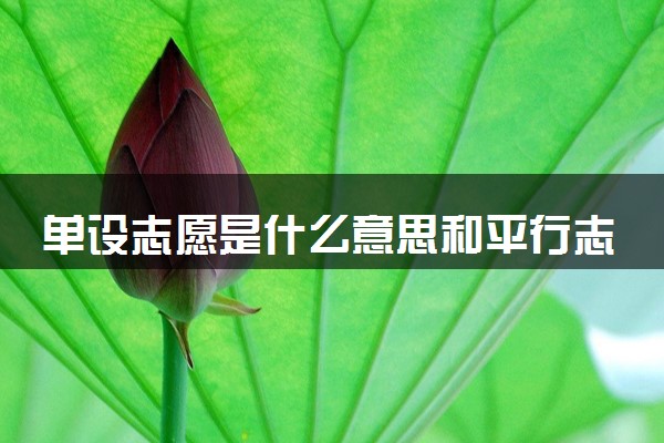 单设志愿是什么意思和平行志愿的区别