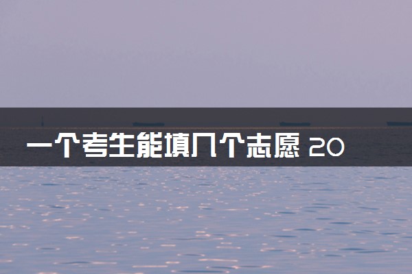 一个考生能填几个志愿 2024高考志愿怎么填报