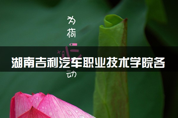 湖南吉利汽车职业技术学院各省录取分数线及位次 投档最低分是多少(2024年高考参考)