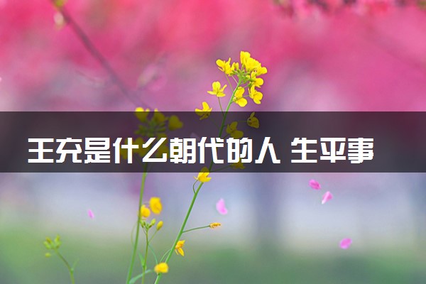 王充是什么朝代的人 生平事迹简介