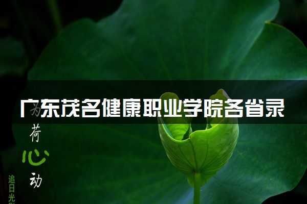广东茂名健康职业学院各省录取分数线及位次 投档最低分是多少(2024年高考参考)