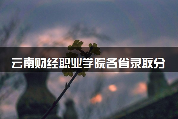 云南财经职业学院各省录取分数线及位次 投档最低分是多少(2024年高考参考)