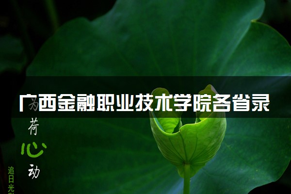广西金融职业技术学院各省录取分数线及位次 投档最低分是多少(2024年高考参考)