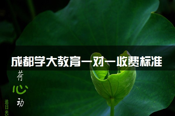 成都学大教育一对一收费标准