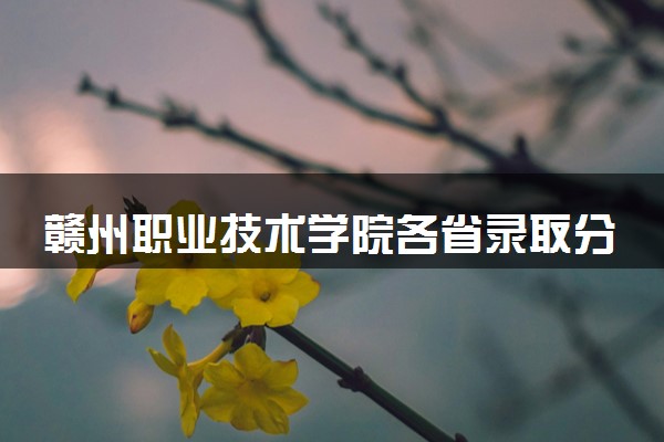 赣州职业技术学院各省录取分数线及位次 投档最低分是多少(2024年高考参考)