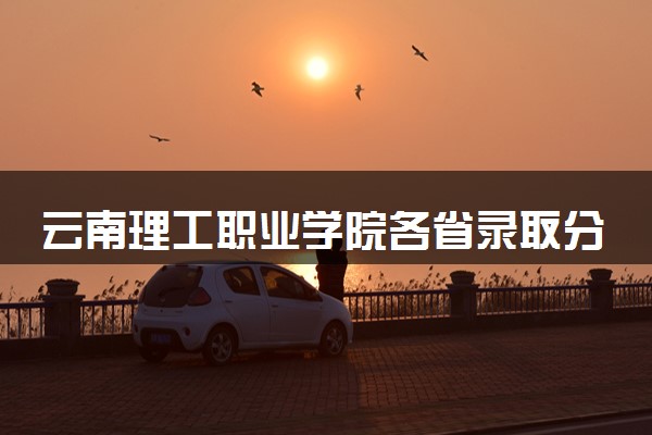 云南理工职业学院各省录取分数线及位次 投档最低分是多少(2024年高考参考)