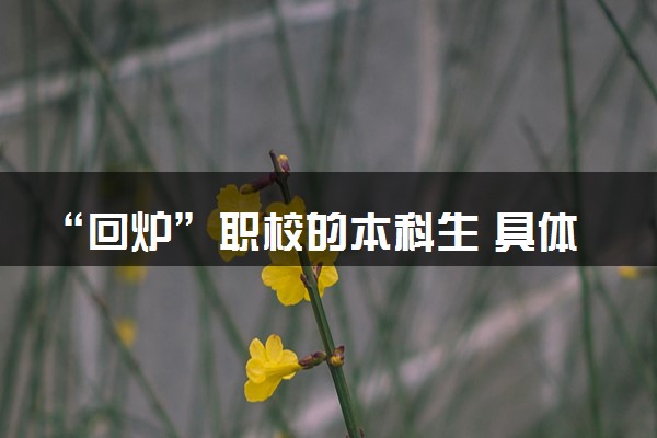 “回炉”职校的本科生 具体怎么回事