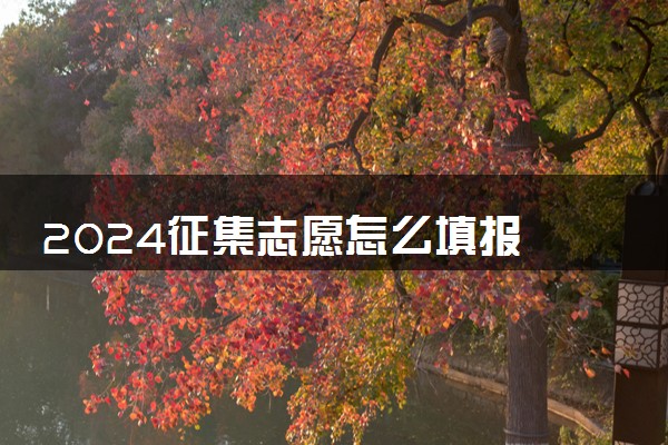 2024征集志愿怎么填报 有哪些报考方法