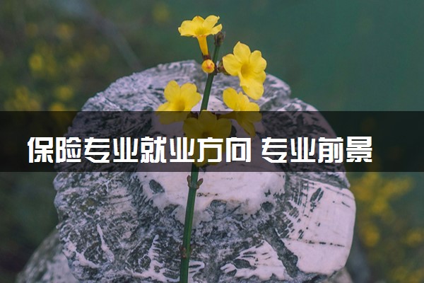 保险专业就业方向 专业前景好不好