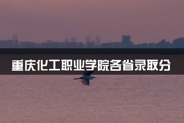 重庆化工职业学院各省录取分数线及位次 投档最低分是多少(2024年高考参考)