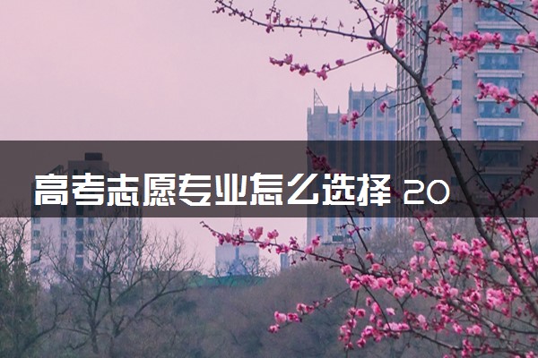 高考志愿专业怎么选择 2024学什么专业最吃香