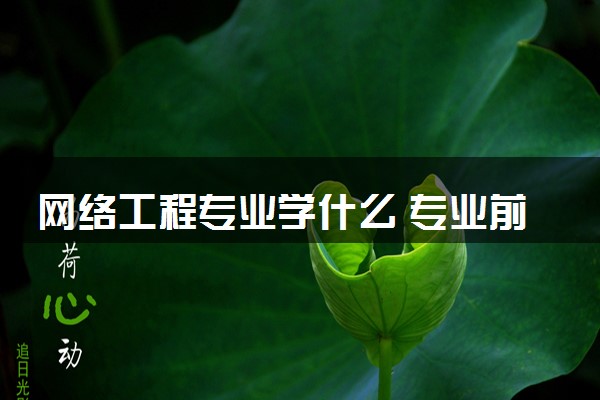 网络工程专业学什么 专业前景怎么样