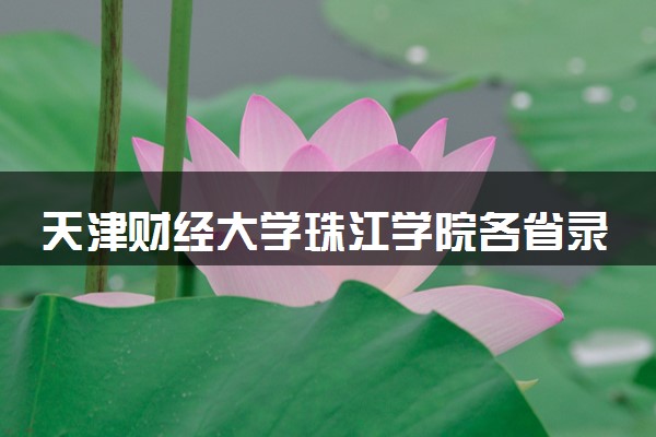 天津财经大学珠江学院各省录取分数线及位次 投档最低分是多少(2024年高考参考)