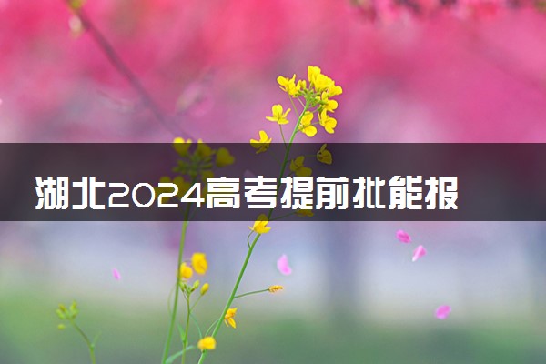 湖北2024高考提前批能报几个大学和专业 可以填多少志愿