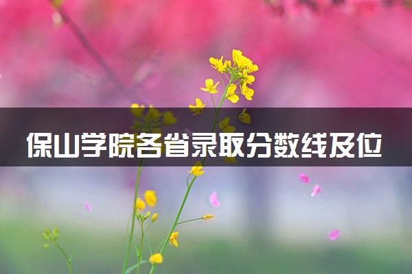 保山学院各省录取分数线及位次 投档最低分是多少(2024年高考参考)