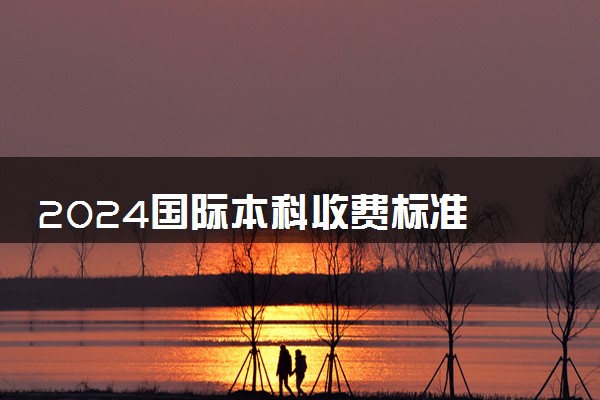 2024国际本科收费标准 学费一年多少钱