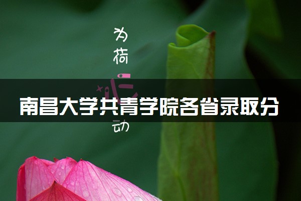 南昌大学共青学院各省录取分数线及位次 投档最低分是多少(2024年高考参考)
