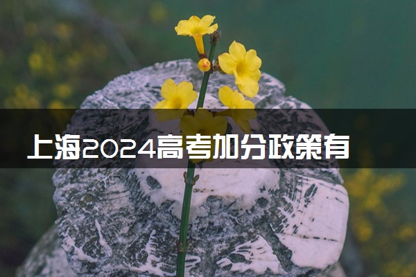 上海2024高考加分政策有哪些 哪些考生可以加分