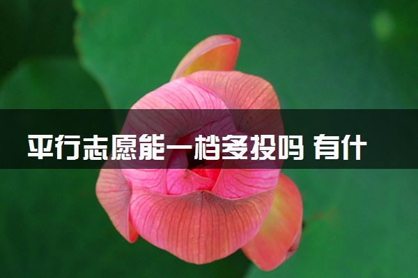 平行志愿能一档多投吗 有什么填报技巧