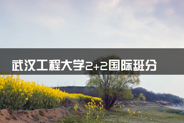 武汉工程大学2+2国际班分数线多少