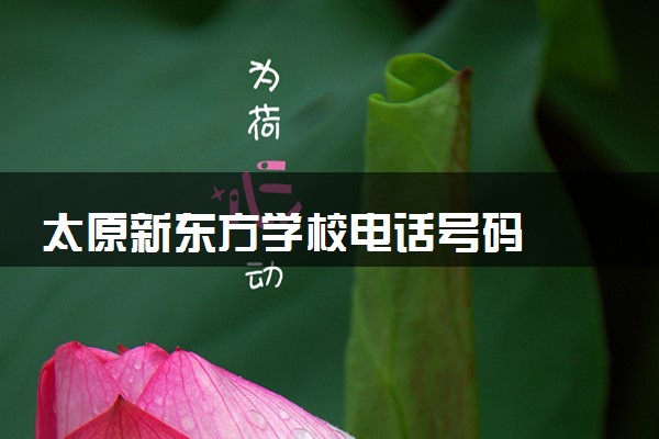 太原新东方学校电话号码