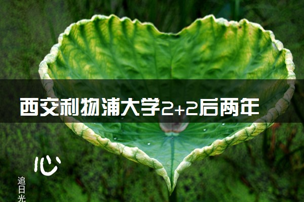 西交利物浦大学2+2后两年费用多少