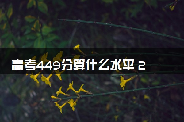 高考449分算什么水平 2024能上哪些大学